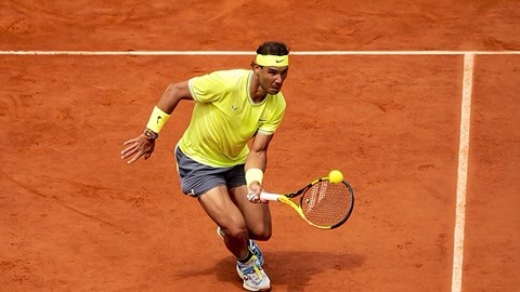 肌肉和关节 肌肉和关节